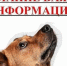 Отлов безнадзорных животных! - Купинский район