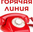 С 26 мая по 6 июня 2025 года будет организована работа «горячей линии» по вопросам защиты прав потребителей туристических услуг - Купинский район