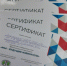Завершился районный этап III Регионального фестиваля «Мы – будущие избиратели!» - Купинский район