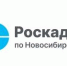 Эксперты новосибирского Роскадастра назвали способы защитить свою недвижимость - Купинский район