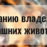 Вниманию владельцев собак! - Купинский район